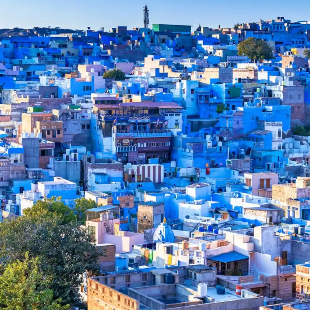 jodhpur